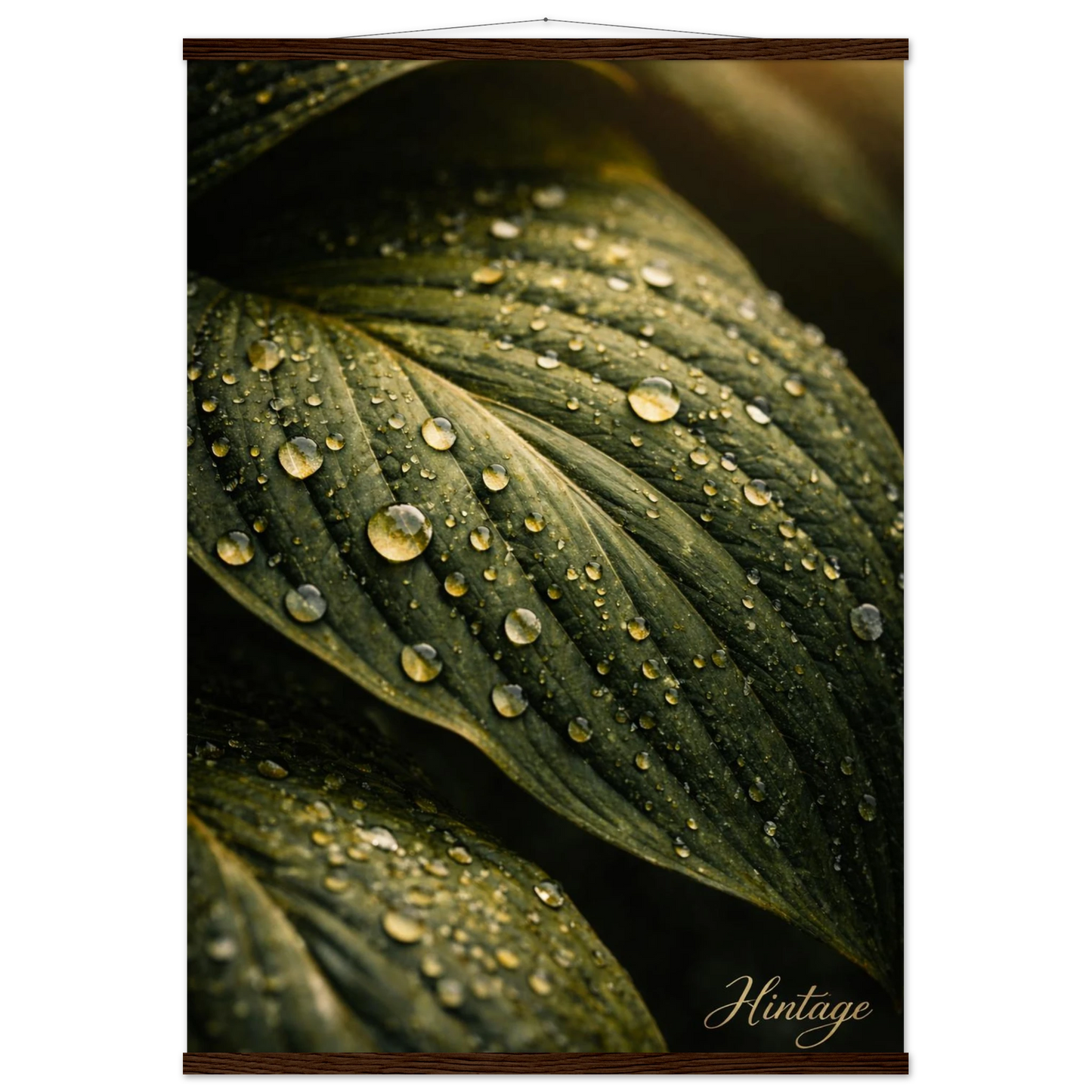 d54af57c-2eff-4f4a-a563-8e57a172a0ec